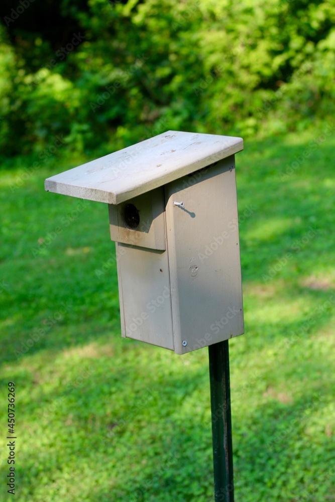 A close view on the plastic park birdhouse. A close view on the plastic park birdhouse.
