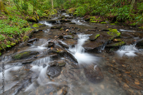 Fires Creek, Nantahala National Forest, NC