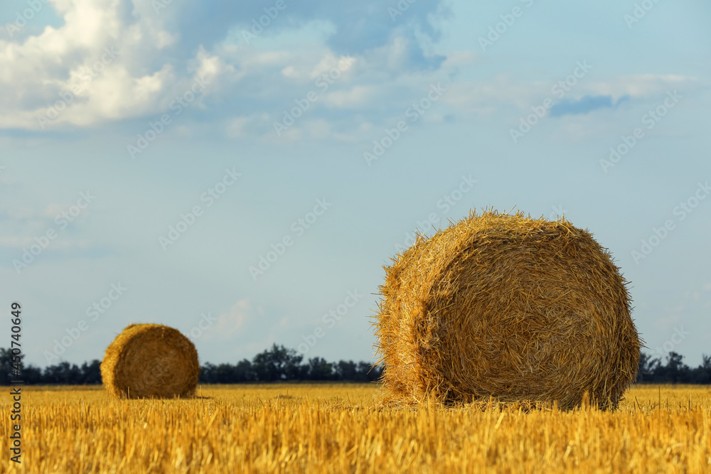 Beautiful view of agricultural field with hay bales