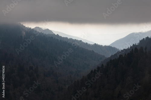 Looking Down-Valley towards the Chimneys, Great Smoky Mountains National Park