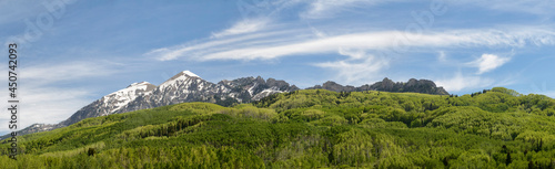 Spring Trees at the Ruby Range