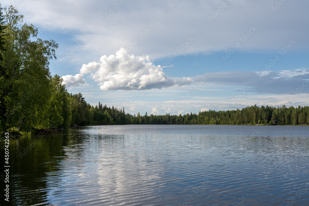 peaceful idyllic lake landscape with lush green summer vegetation under a blue sky with white clouds