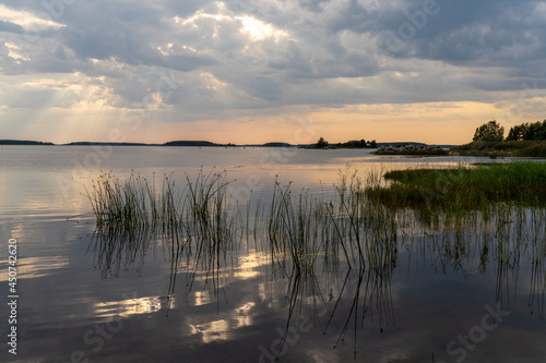 colorful sunset and expressive sky reflections in a calm and peaceful lake with reeds in the foreground