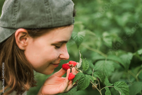 Hand picked freshly raspberries in garden photo