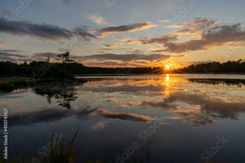 colorful sunset reflected in a calm lake landscape with green forest and reeds © makasana photo