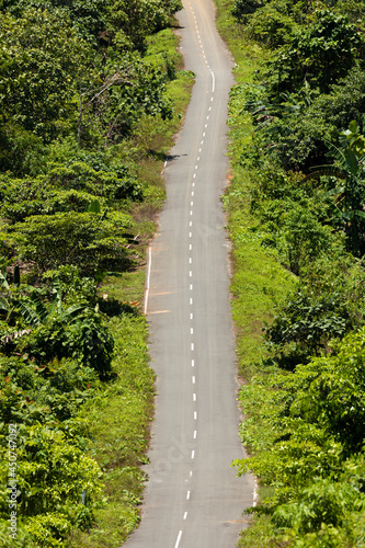 A huge straight in the road, on the remote island of Waiego, cuts through the rainforest, on the way to Warsambin, West Papua, Indonesia photo