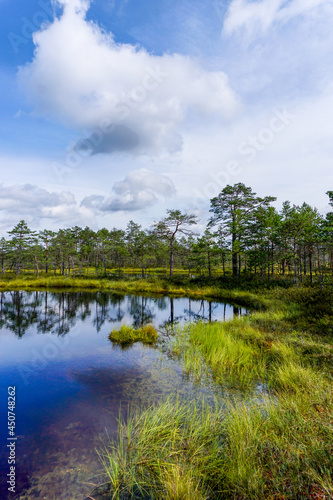vertical view of a peat bog and blue lake landscape under an expressive sky with white clouds