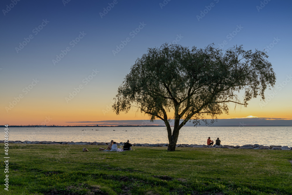 people relax in a coastal park in Tallinn at sunset and enjoy a summer evening