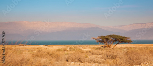 Desert on the Dead Sea, between Ein Gedi and Masada in Israel, landscape