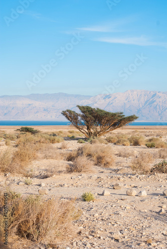 Desert on the Dead Sea, between Ein Gedi and Masada in Israel, landscape photo