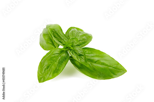 Basil herb leaves isolated on white