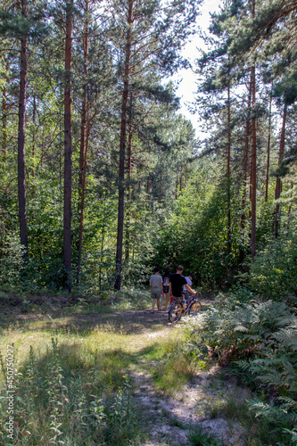 Family enjoying hiking together in the forest.