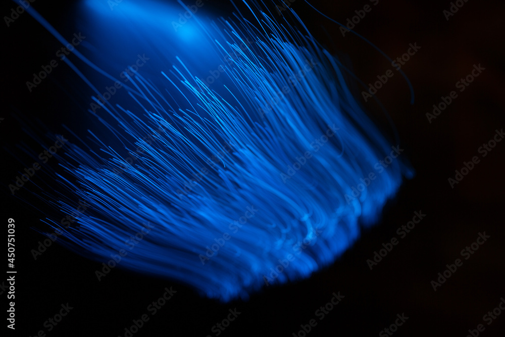 Blue abstract particles and lines with bokeh and blur in dark background.