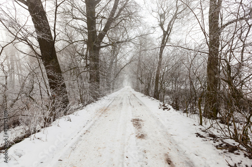 a road covered with snow in the winter season © rsooll
