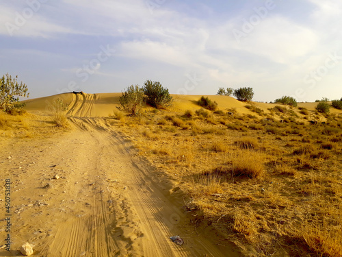 A picture of open desert areas and sand dunes in Thar desert  in Jaisalmer district of Rajasthan  India.