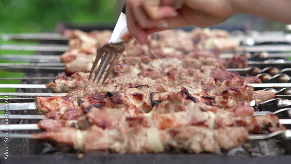 Grilled shish kebab on skewer. Roasted pork meat cooked at barbecue. Grilled shish kebab on skewer. Roasted pork meat cooked at barbecue.