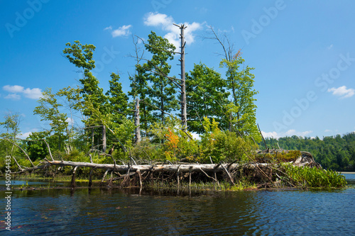 Island in the Quinebaug River Canoe Trail in Brimfield, Massachusetts. photo