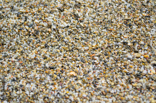 The texture of the sand is close-up as a background.