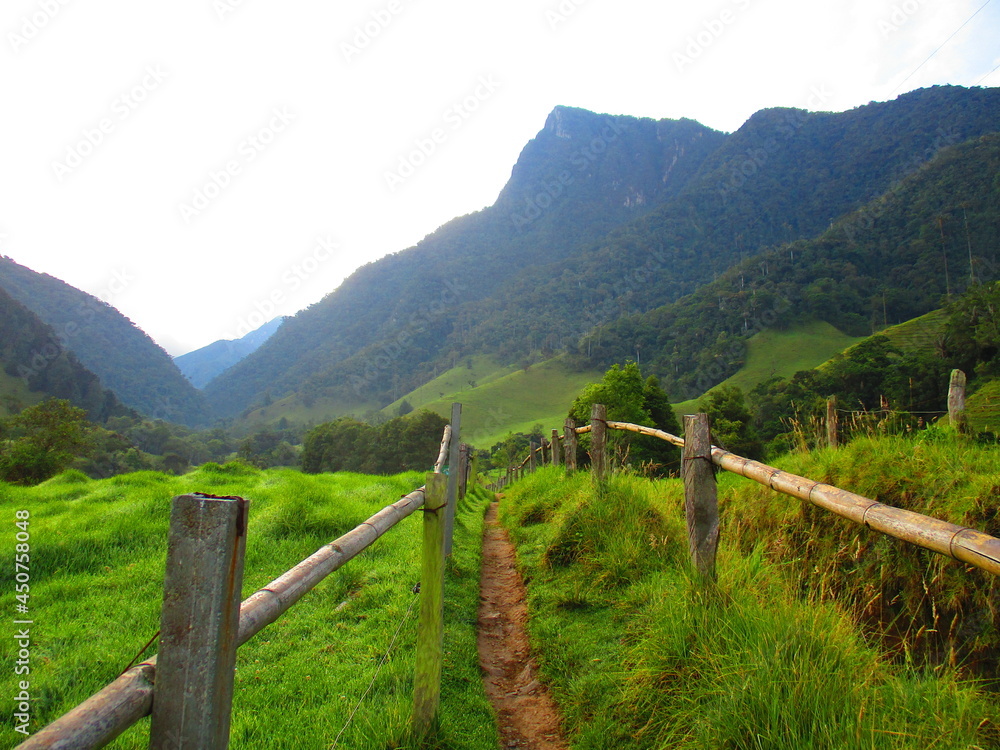 Path to the wonderful adventures in the Valley de Cocora
