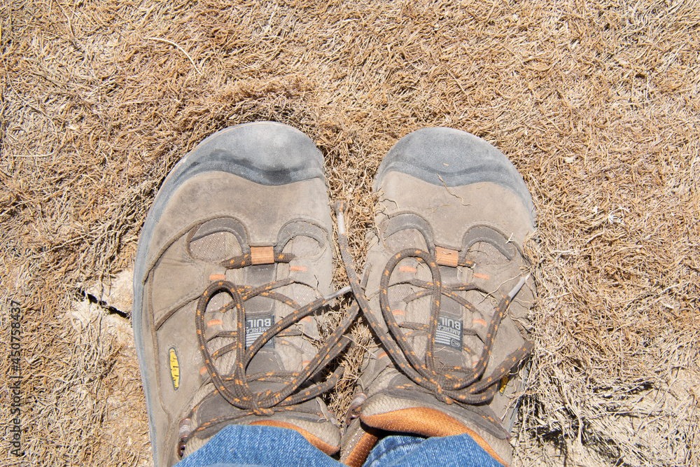 Fototapeta premium feet on the beach
