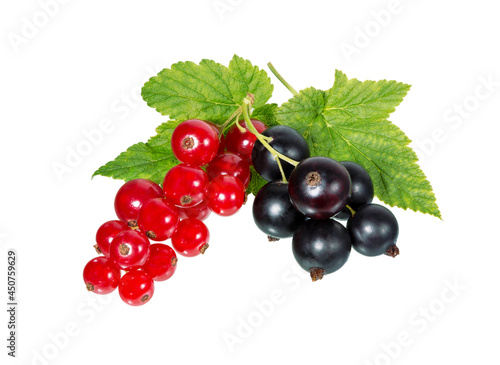  Currant berries with leaf isolated.