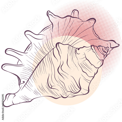 Spiked seashell in line art style on spotted background. Vector color hand drawn illustration. Elements for design seafood shop or menu, decor, label, print, poster, t-shirt.