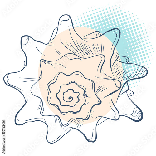 Spiral spiked seashell in line art style on spotted background. Front view. Vector color hand drawn illustration. Elements for design seafood shop or menu, decor, label, print, poster, t-shirt.