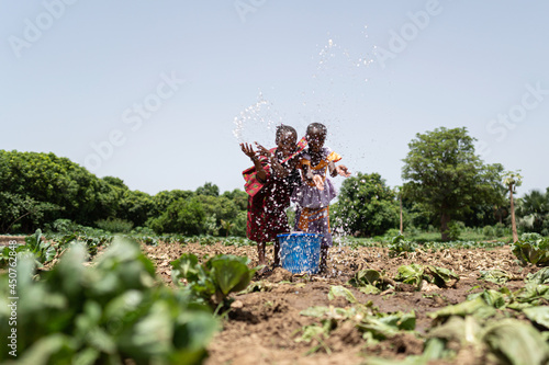 Two little black African girls standing in a cabbage field trying to irrigate the plants by sparkling water