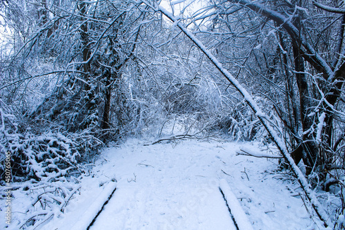 A snowy path