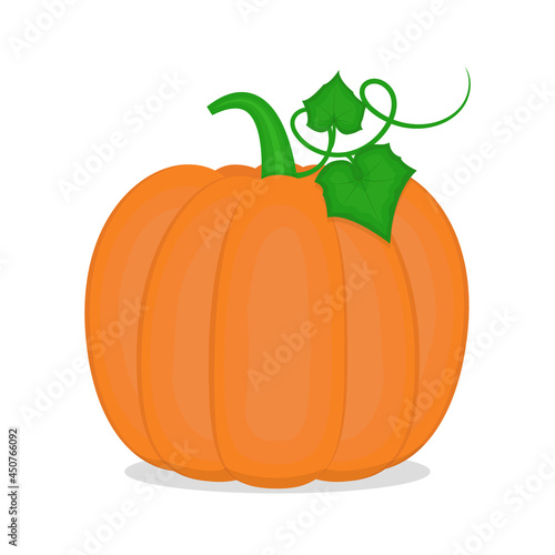Bright orange pumpkin isolated on white background. Vector illustration