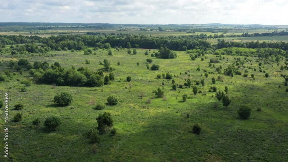 Countryside summer field with green grass and trees. Kaliningrad Region. Aerial view from drone Countryside summer field with green grass and trees. Kaliningrad Region. Aerial view from drone