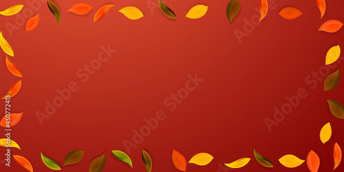 Falling autumn leaves. Red, yellow, green, brown n