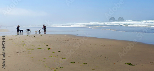 Photography Misty Beach Dog Walk Panorama- A couple walks the Rockaway Oregon beach with their dogs in the morning before the mist has burn off