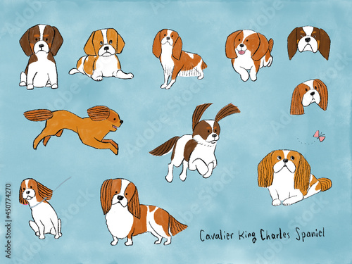 優しいタッチの、スパニエル犬の手描きイラストセット