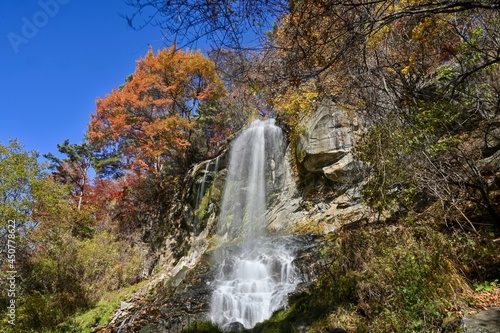 青空バックに見上げるちょうど見頃の紅葉に囲まれた乙女の滝の情景＠蓼科、長野