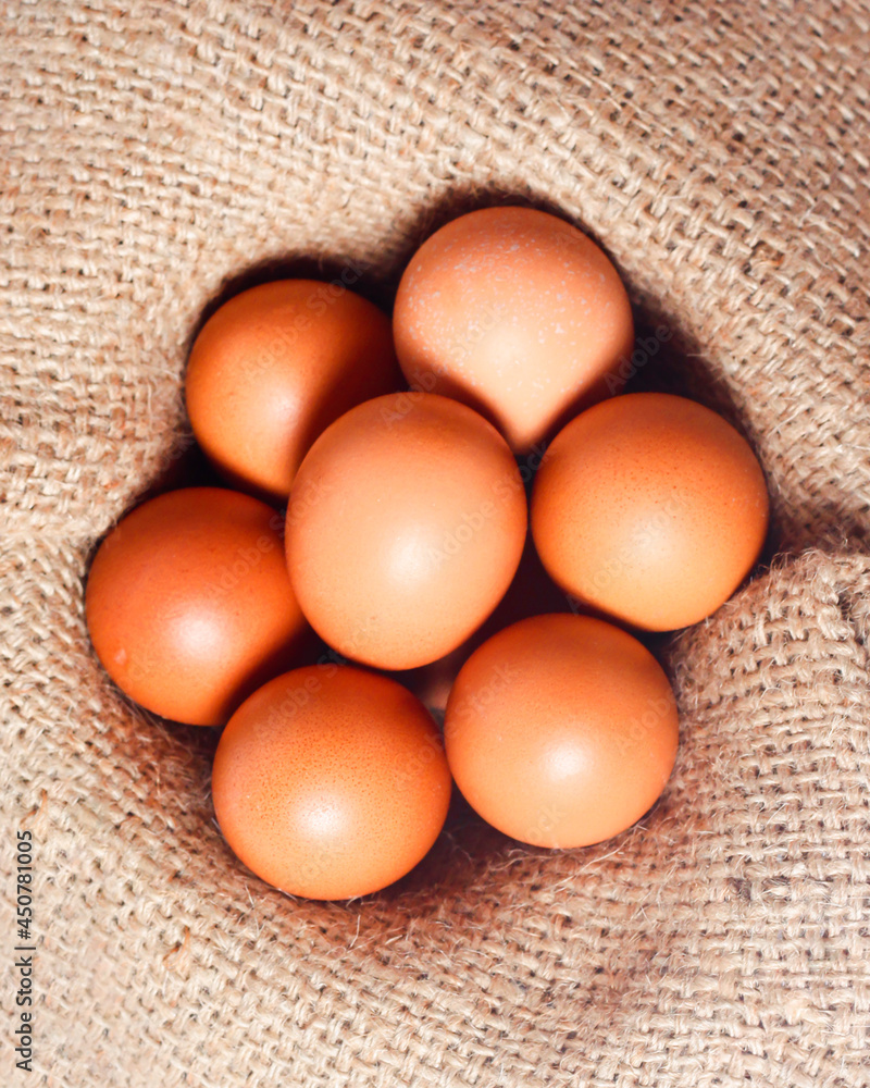 Eggs isolated on a bright background. Front photo. Egg wallpapers. Design, visual arts, minimalism. Egg templates. Organic chicken egg concept. Healthy organic food and diet concept. Focus blur. Eggs isolated on a bright background. Front photo. Egg wallpapers. Design, visual arts, minimalism. Egg templates. Organic chicken egg concept. Healthy organic food and diet concept. Focus blur.