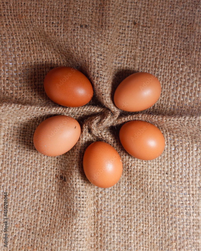 Eggs isolated on a bright background. Front photo. Egg wallpapers. Design, visual arts, minimalism. Egg templates. Organic chicken egg concept. Healthy organic food and diet concept. Focus blur. Eggs isolated on a bright background. Front photo. Egg wallpapers. Design, visual arts, minimalism. Egg templates. Organic chicken egg concept. Healthy organic food and diet concept. Focus blur.