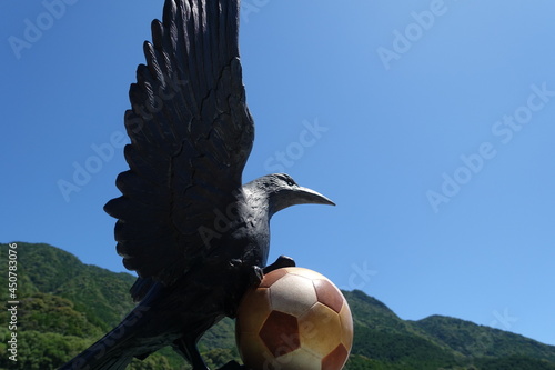 サッカーボールを掴む八咫烏 photo