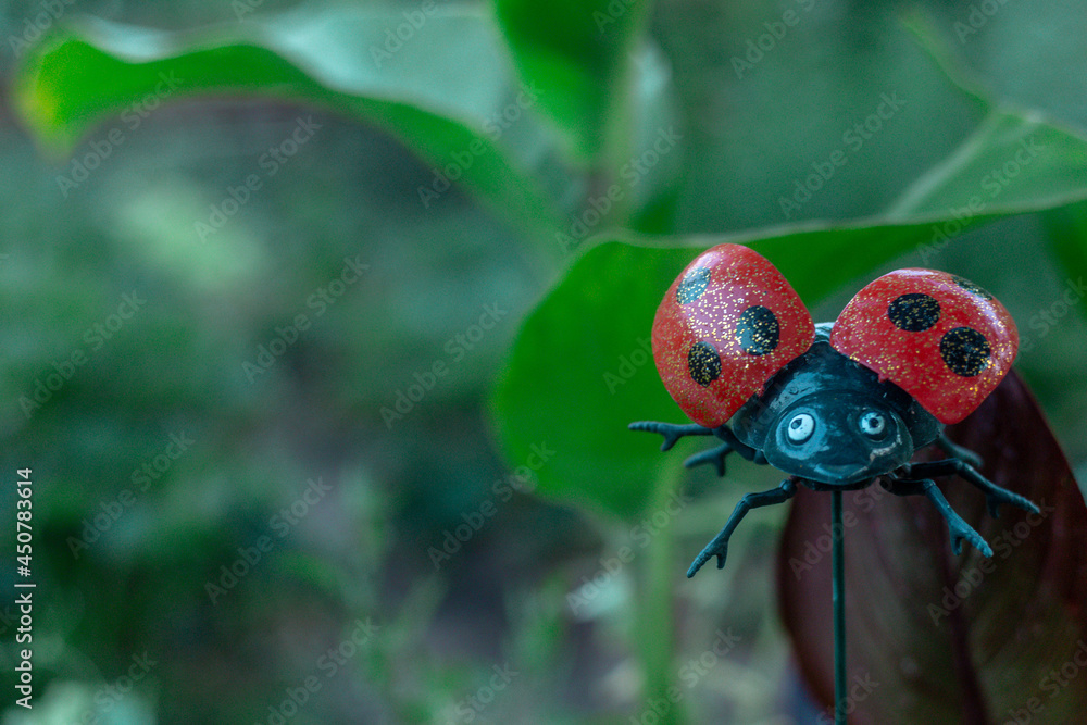 Fototapeta premium Garden plastic ladybug decoration