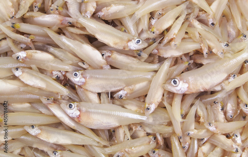 Many fresh anchovies fish background