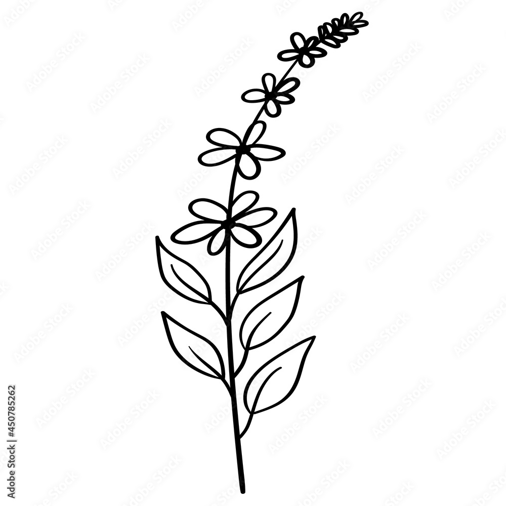 Flowers-7 Flowers-7