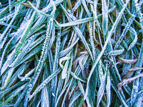 Close up image of grass frost and water droplets