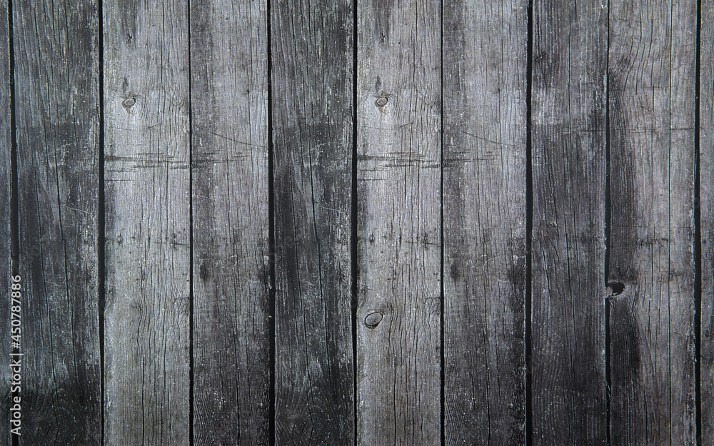 Fototapeta premium The gray vintage tree is laid evenly.