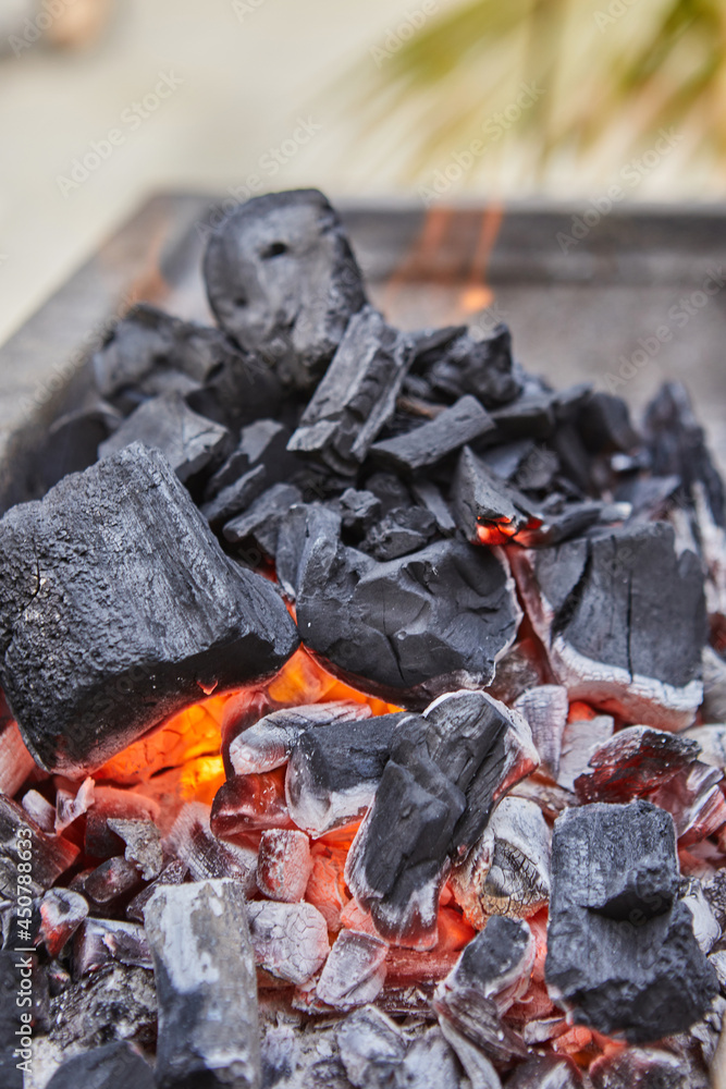 Lighting coals in the barbecue grill. BBQ party Lighting coals in the barbecue grill. BBQ party