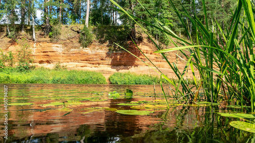 summer landscape from the river, with red, sandstone cliffs on the shore, reflection of trees and shore in the water, Salaca River, Red Cliffs, Latvia photo