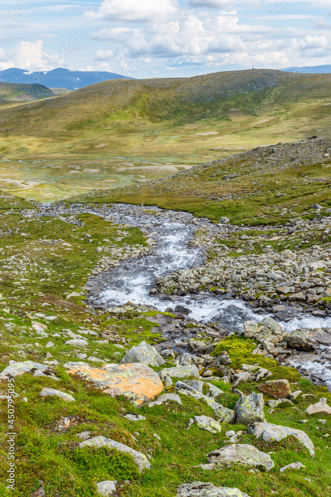 Mountain river running down into the valley Mountain river running down into the valley