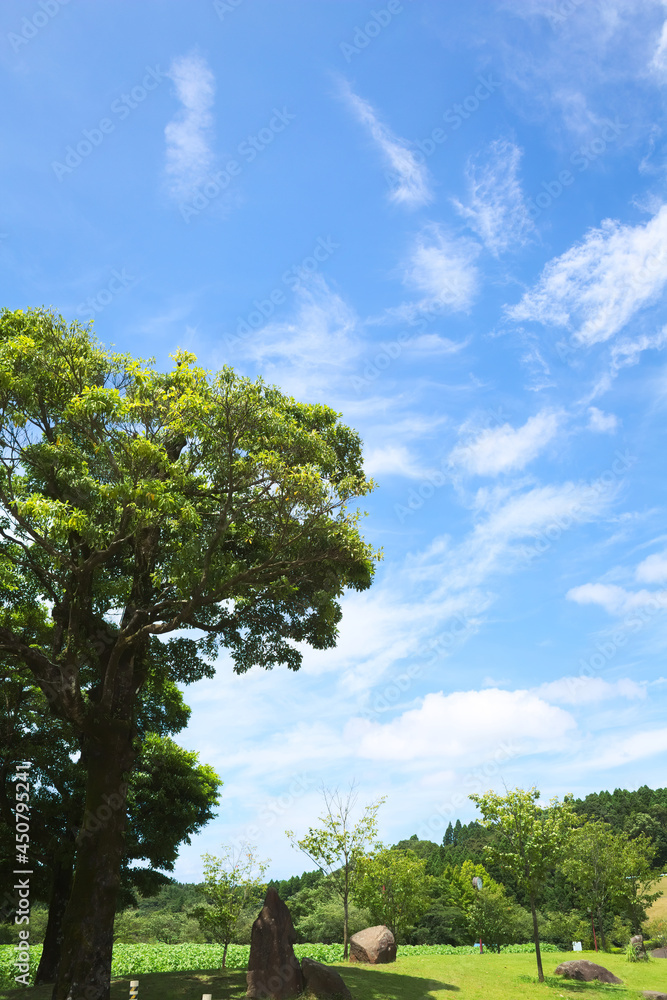 梅雨明けの初夏の青空　縦位置	