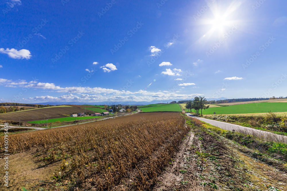 Obraz premium 晩秋の美瑛