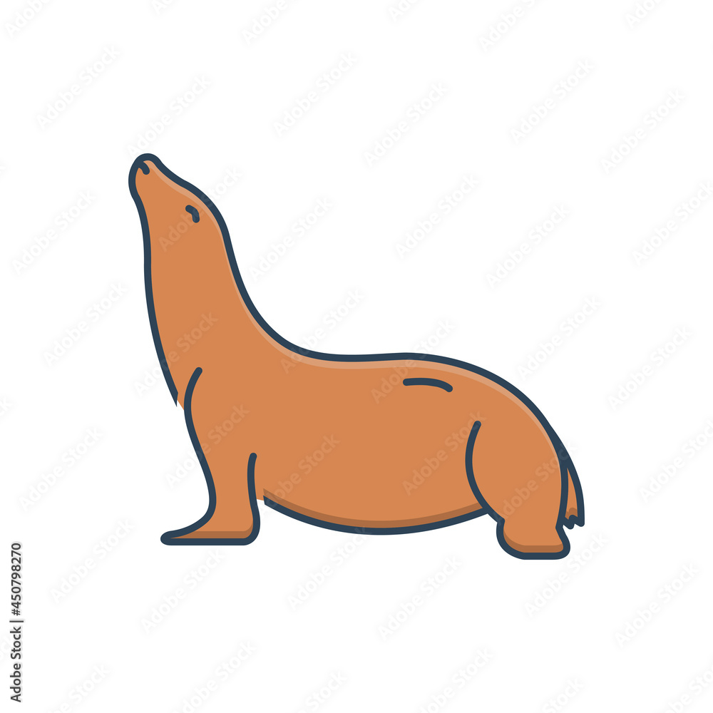 Color illustration icon for sea lion