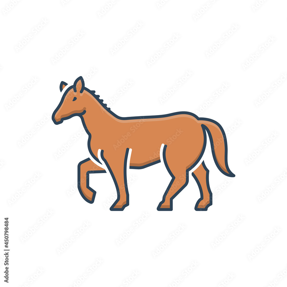 Fototapeta premium Color illustration icon for horse